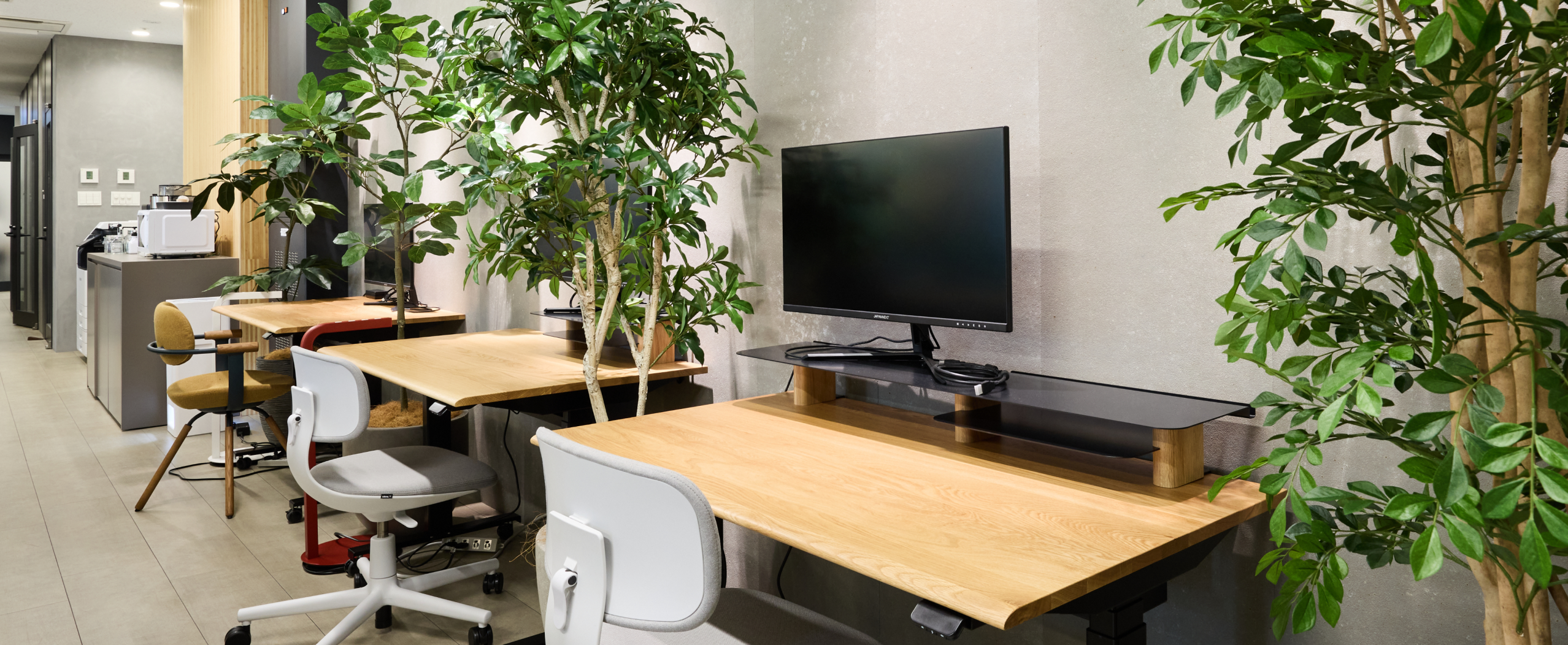 観葉植物と木天板の電動昇降デスクが並ぶ明るいオフィスのワークスペース