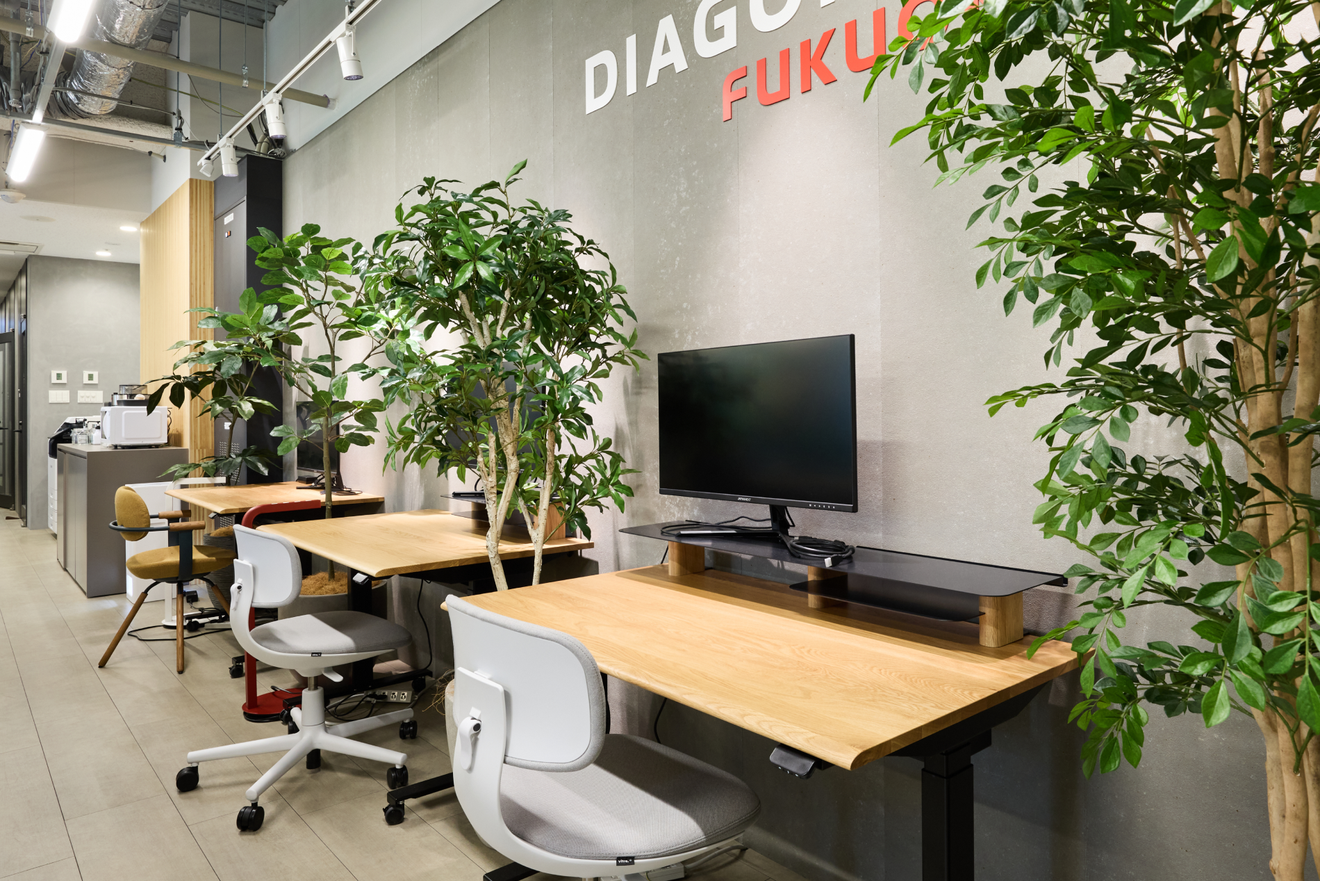 観葉植物に囲まれたワークスペースに木天板の電動昇降デスクが並ぶ様子